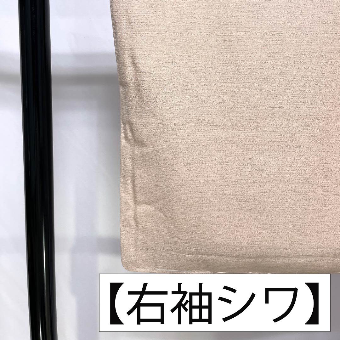 訪問着 正絹 Sランク 袷 身丈161cm 裄丈65.5cm 乙女色（おとめいろ） 京友禅 作家物 金閣寺 風景画 しつけ糸付き ピンク系 1112007172413
