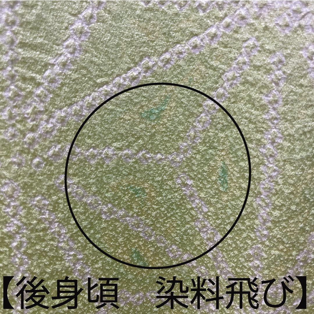 訪問着 正絹 袷 身丈162.5cm 裄丈62cm 若芽色 刺繡 絞り 麻の葉 Aランク 緑系 1112003433419