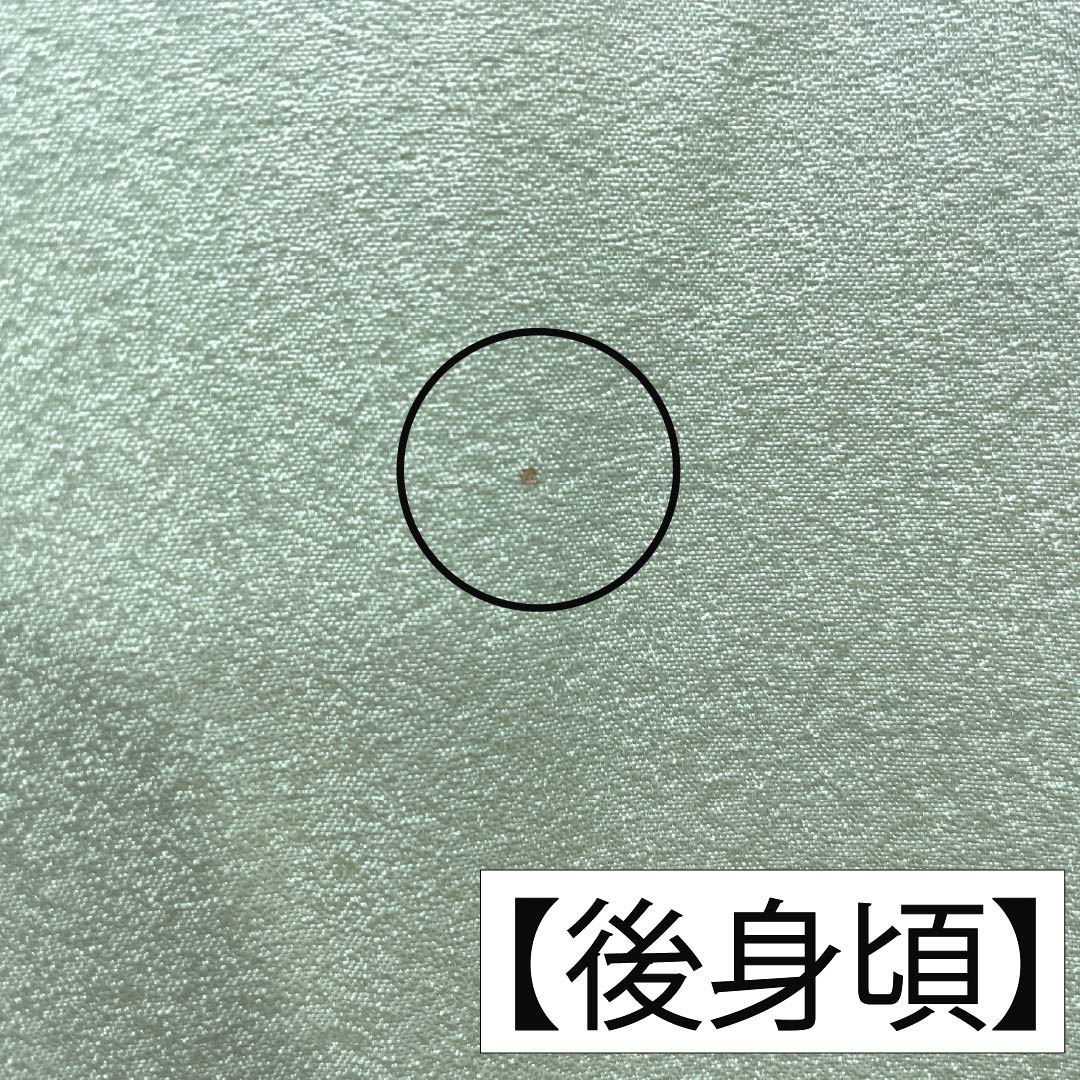訪問着 正絹 Sランク 袷 身丈166.5cm 裄丈62cm 薄緑色（うすみどりいろ） 京友禅 草花 しつけ糸付き 緑系 1112007602519