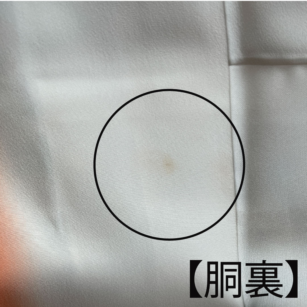 小紋 身丈163.5cm 裄丈64cm 袷  変り松皮菱 草花模様  正絹 Aランク 白系 1115002393411