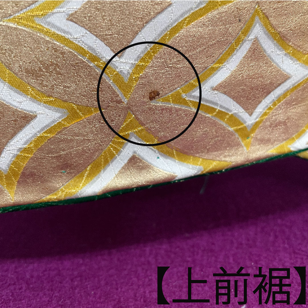 振袖 正絹 身丈161.5cm 裄丈65cm 袷  濡葉色 京友禅 吉祥文様  Aランク 緑系 1113001973419