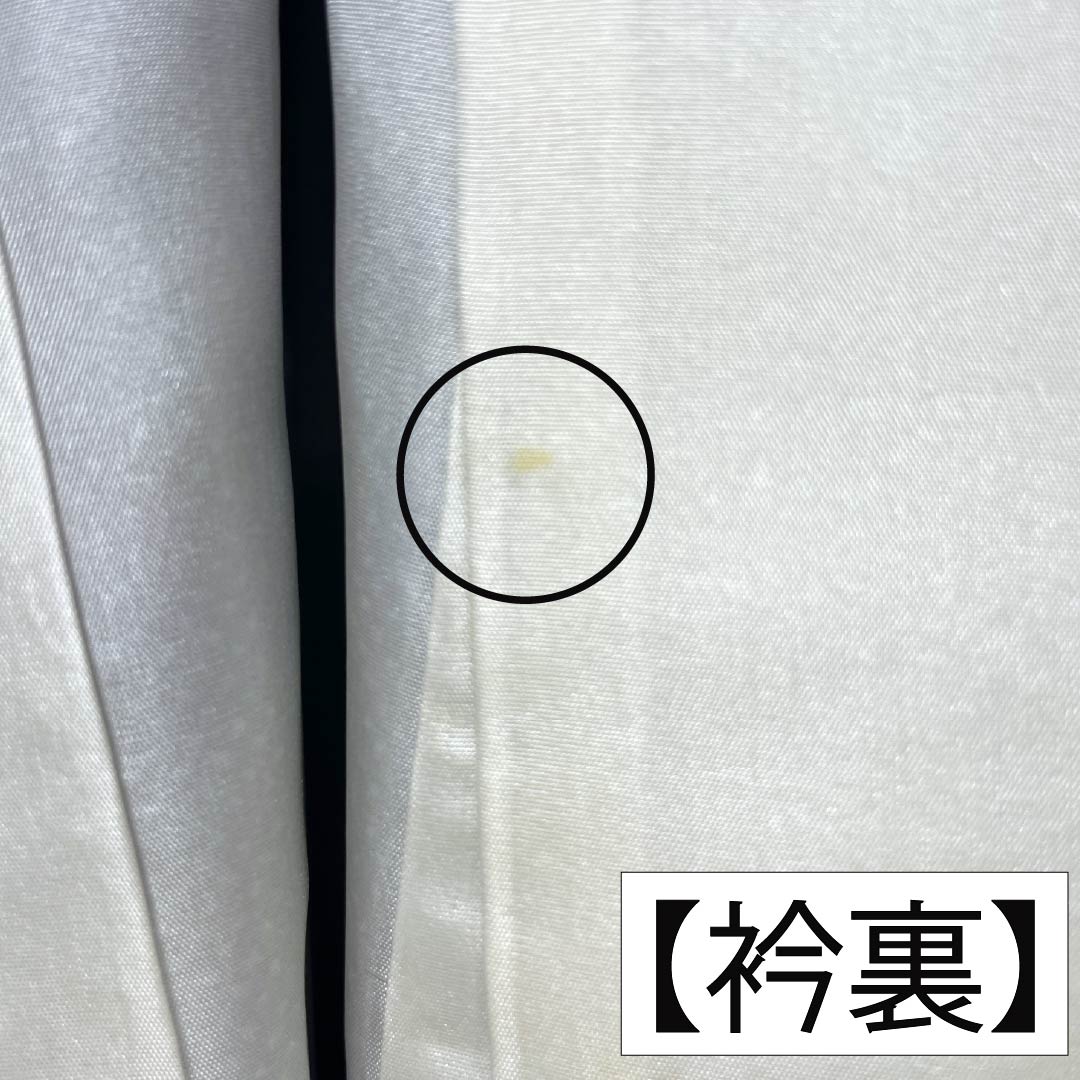 紬 正絹 Sランク 身丈165cm 裄丈64.5cm 麻の葉 袷 黒系 1116005012510