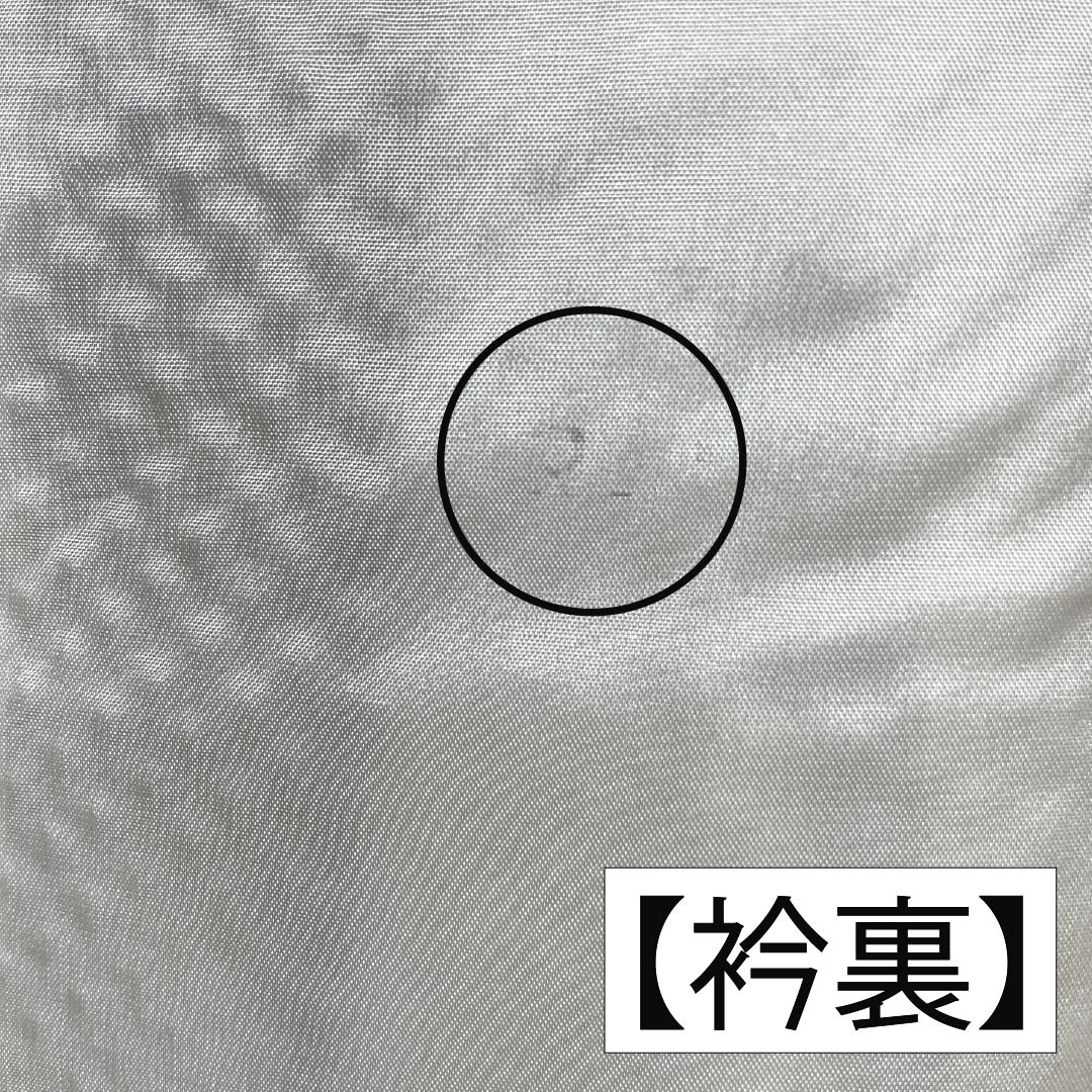Homongi (formal formal wear), pure silk, A-rank, lined, length 153cm, sleeve length 62.5cm, Senzai-chairo (Chrysanthemum and Flowing Water) pattern, with basting threads, green, product number 1112006753219