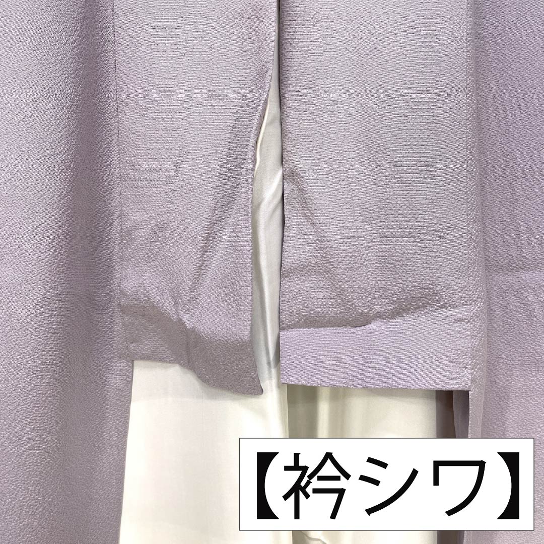 Visiting Kimono, Pure Silk, S Rank, Lined, Length 165cm, Sleeve Length 64.5cm, Shrimp-colored, Kyoto Yuzen, Tsujigahana Pattern, Purple, Item Number: 1112007222520