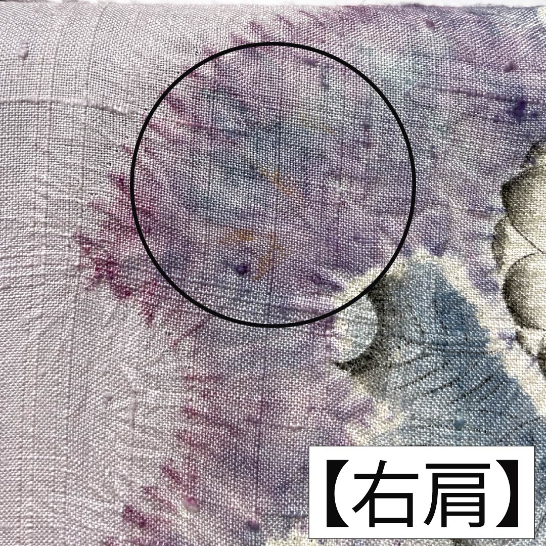訪問着 正絹 Bランク 単衣 身丈165.5cm 裄丈64.5cm 白藤色（しらふじいろ） 紬地 絞り 作家物 辻ヶ花 紫系 1112007554520