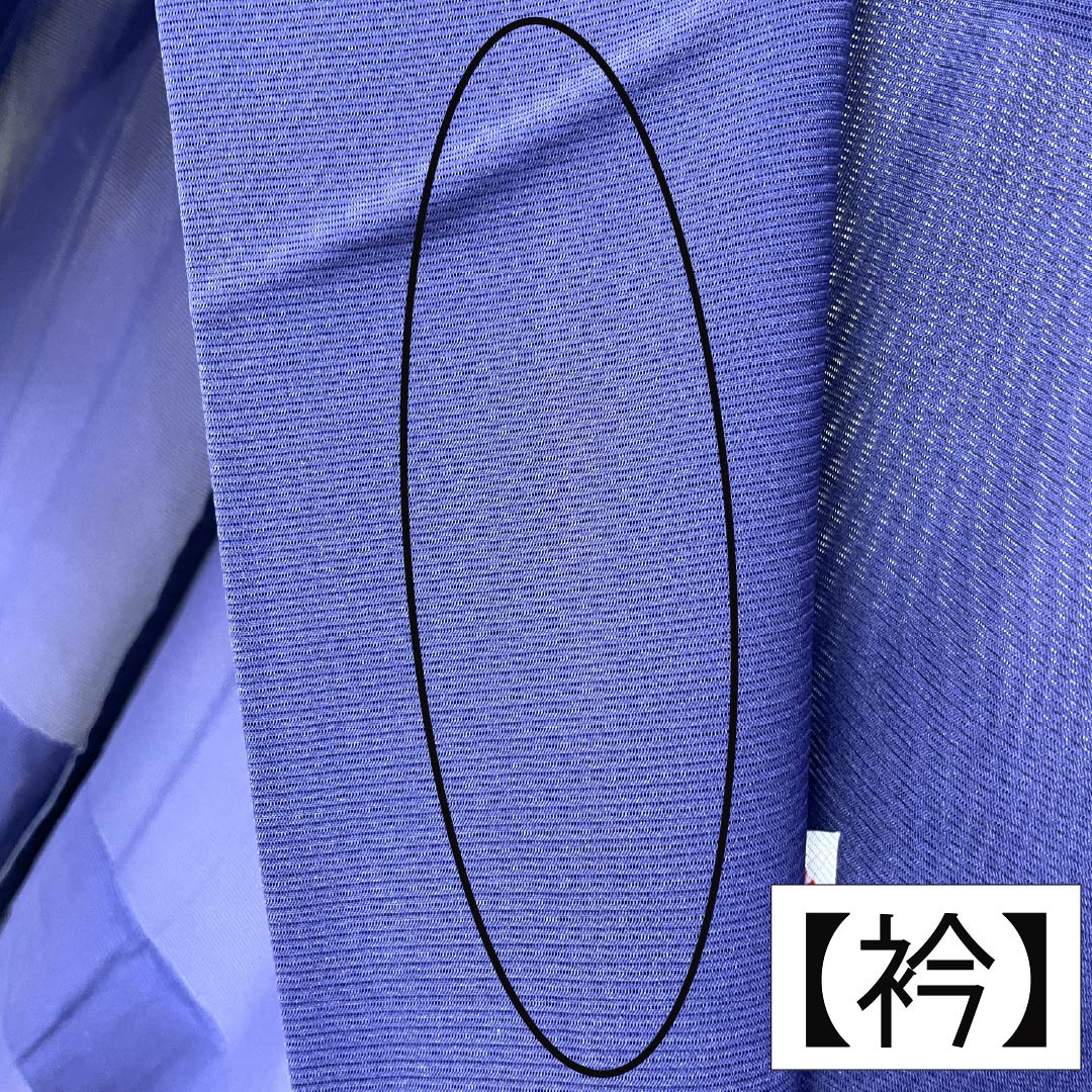 夏物 正絹 訪問着 Aランク 身丈158.5cm 裄丈62.5cm 濃桔梗色（こいききょういろ） 付下げ 秋草模様 蛍 絽 紺系 1132004703318