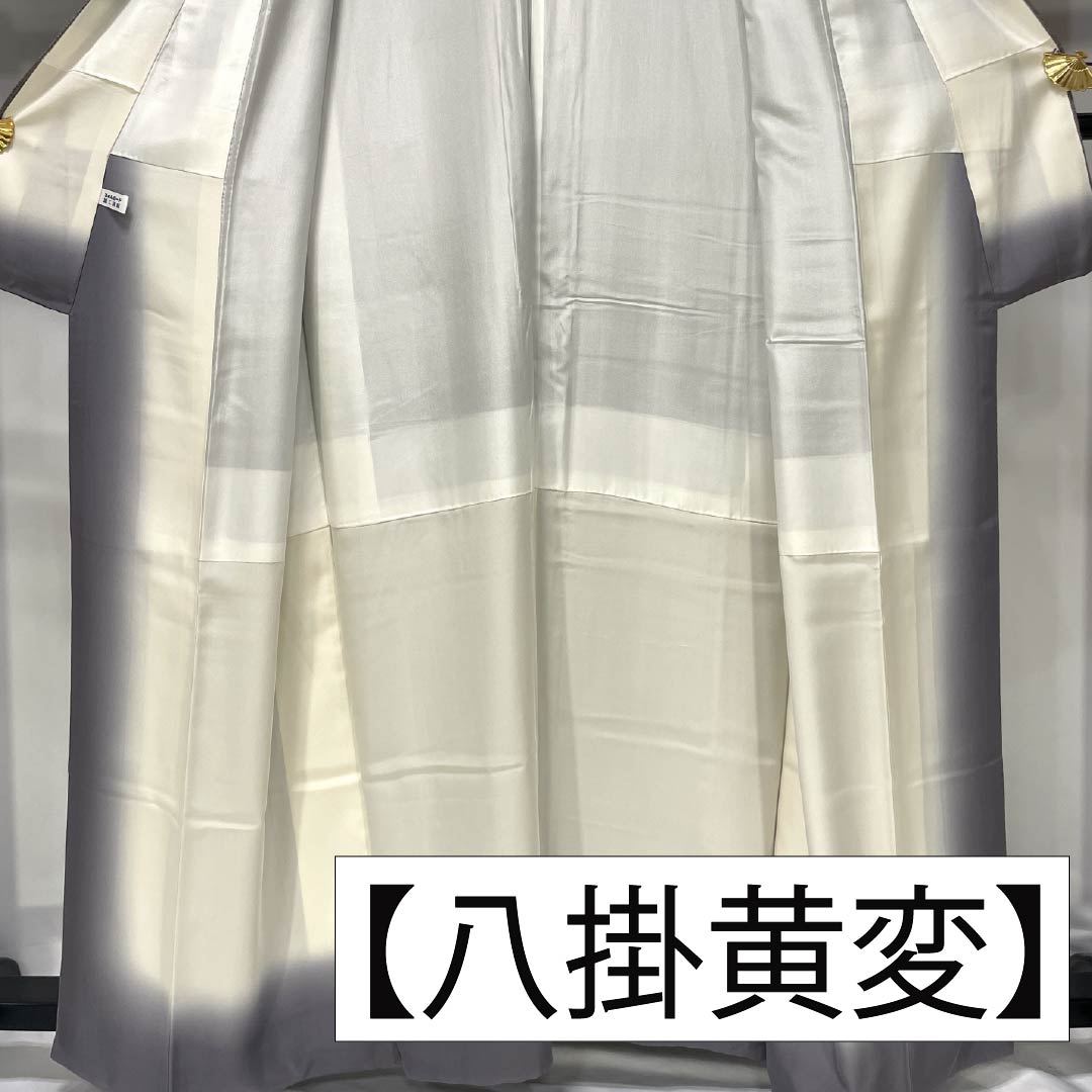 Komon (small pattern) silk, A-rank, length 159cm, sleeve length 67cm, lined, Tenmoku dyed, Roman Guard, gradient pattern, 1115006793399