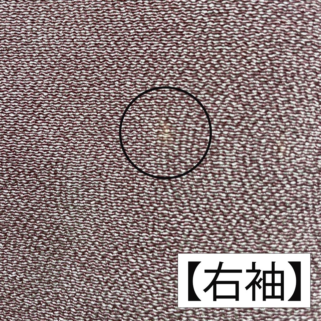 小紋 正絹 Aランク 身丈157cm 裄丈64cm 袷 小豆鼠色（あずきねずいろ） 江戸小紋 鮫小紋 丸に桔梗 一つ紋 グレー系 1115007333322