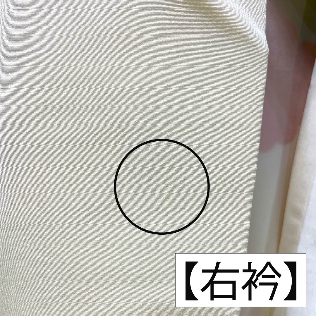 訪問着 正絹 Aランク 袷 身丈157.5cm 裄丈62cm 乳白色（にゅうはくしょく） 京友禅 雲取り しつけ糸付き 白系 1112006563311
