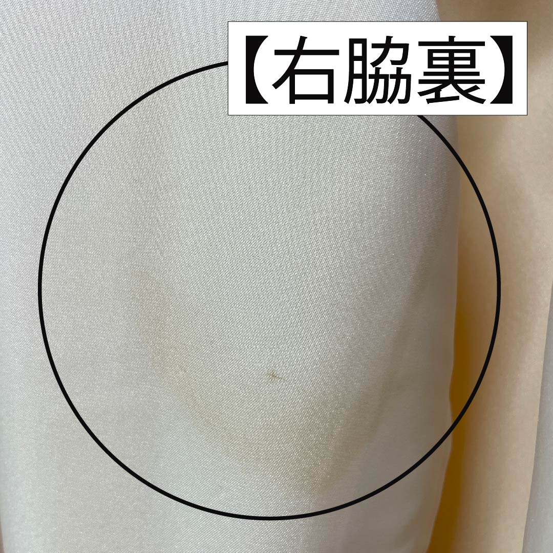 Visiting Kimono, Pure Silk, Grade A, Lined, Length 166.5cm, Sleeve Length 62.5cm, Light Persimmon, Kyoto Yuzen, Camellia, Orange, Item Number 1112006363526