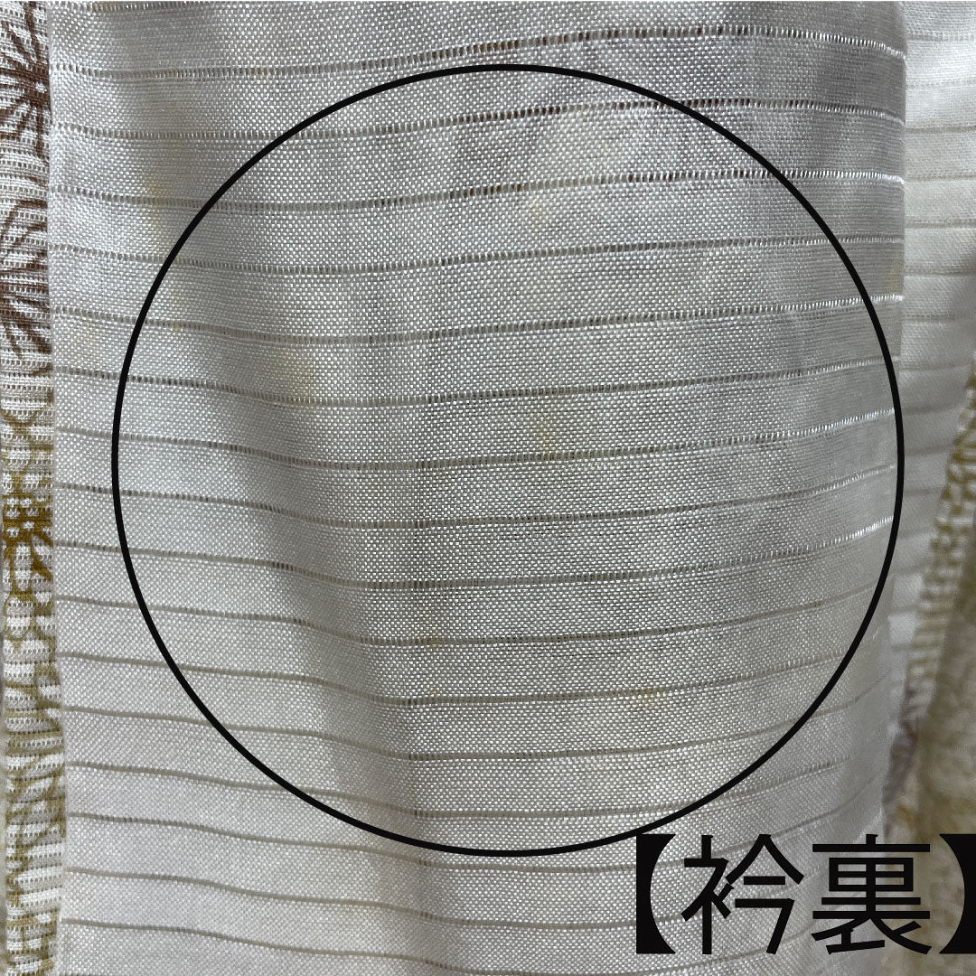 夏物 正絹 小紋 身丈161.5cm 裄丈61.5cm 乳白色（にゅうはくしょく） 菊 麻の葉 竹 絽 Aランク クリーム系 1132001333415
