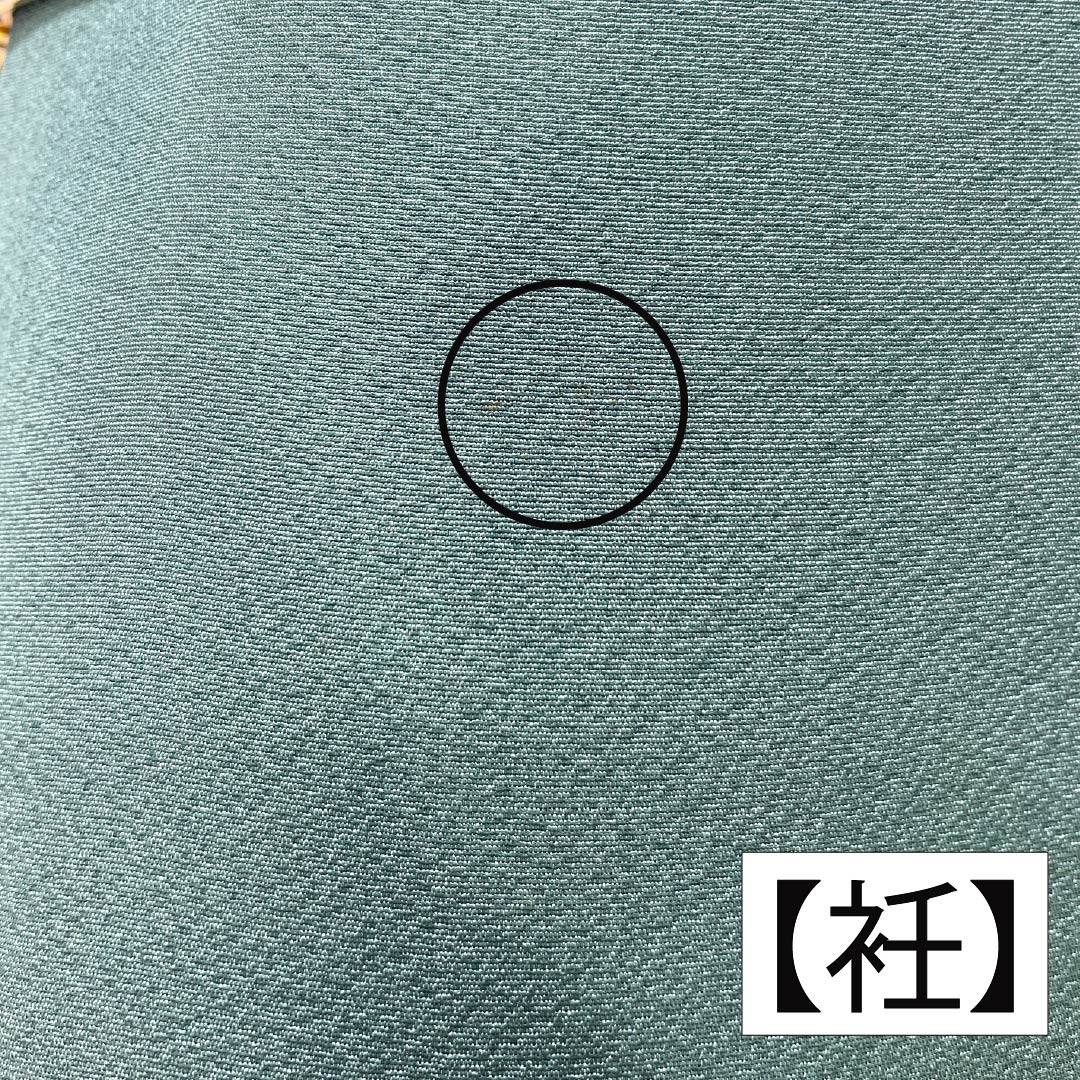 Komon, pure silk, length 152.5cm, sleeve length 64.5cm, lined, Yamaaizuuriiro (Yamaaizuri-iro), stencil dyeing, noshi (Japanese traditional wrapping paper), floral pattern, Scotchgard, B rank, green, 1115005484219