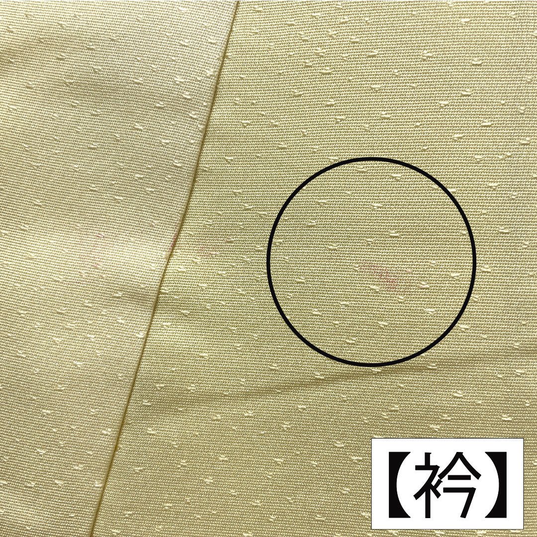訪問着 正絹 袷 身丈156.5cm 裄丈63cm 淡黄色（たんこうしょく） 京友禅 草花模様 Aランク 黄系 1112005393323