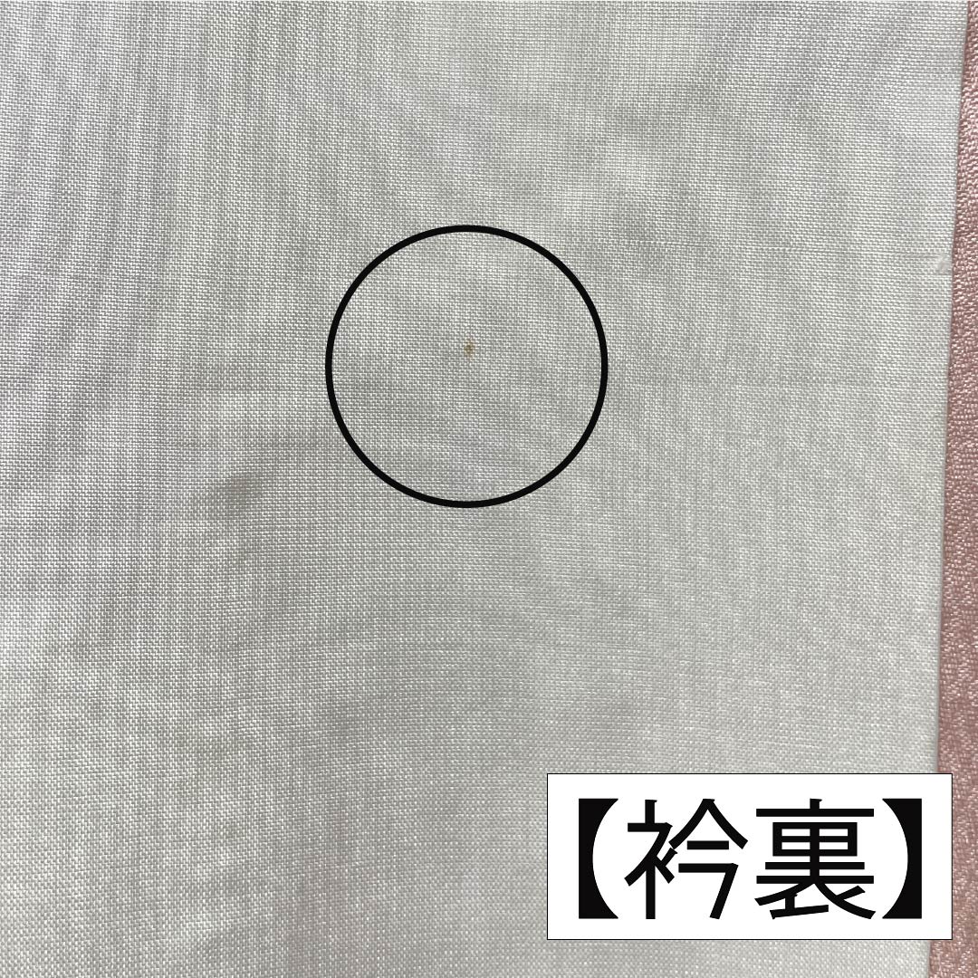 Visiting Kimono (Homongi) - Pure Silk, Grade A, Lined, Length 166cm, Sleeve Length 61.5cm, Otomeiro (Girl's Color), Kyoto Yuzen Embroidery, Floral Design, Pink, Product Number: 1112006273513