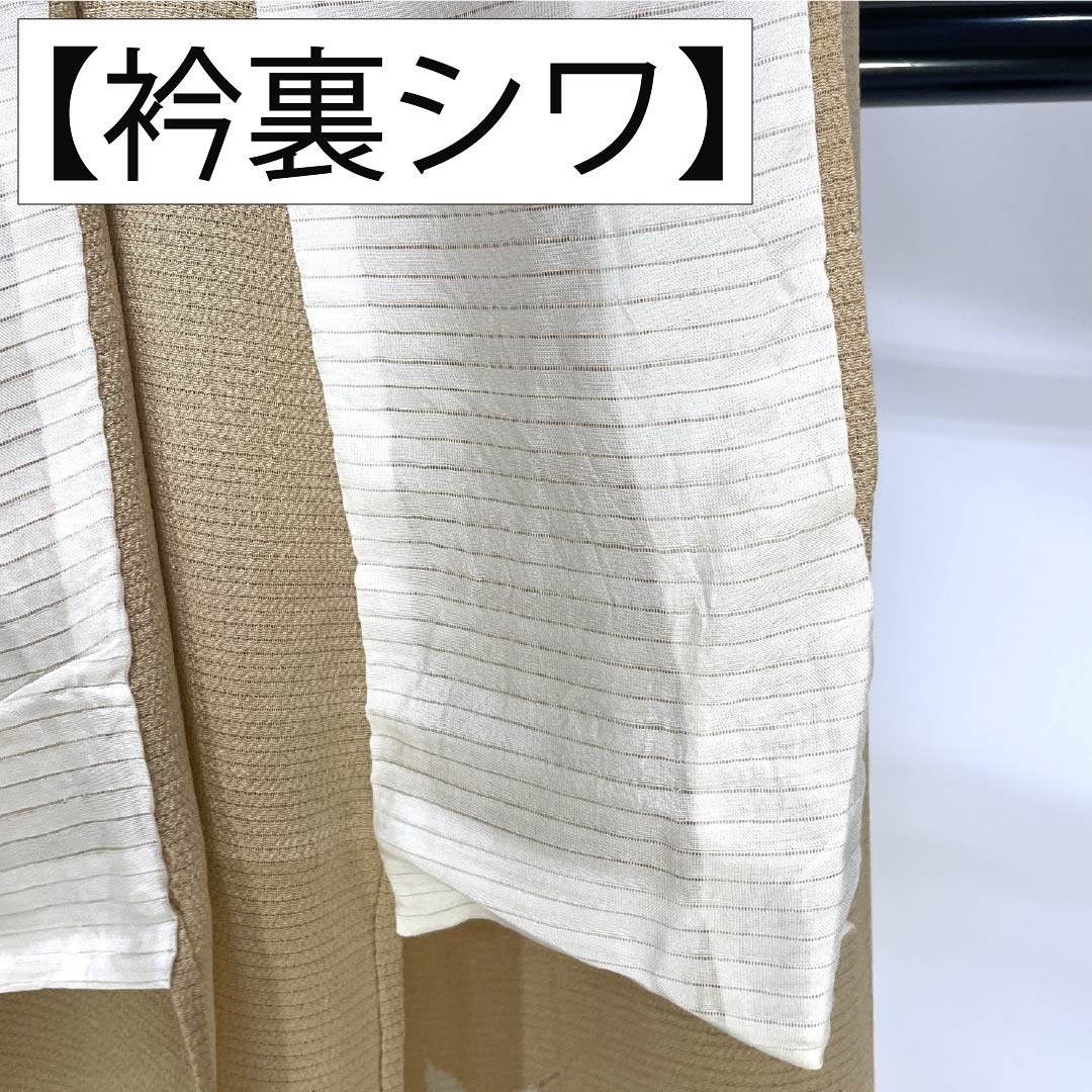夏物 正絹 付下げ Sランク 身丈150.5cm 裄丈62cm 丁子色（ちょうじいろ） 南克治 加賀友禅 一つ紋 絽 ベージュ系 1132005062125