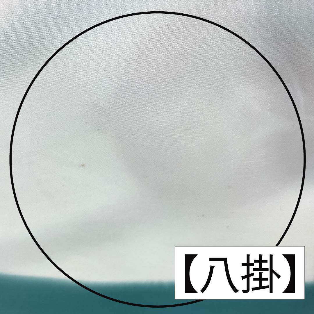 訪問着 ポリエステル Aランク 胴抜き 身丈156cm 裄丈64cm 薄水色（うすみずいろ） 半衿付き 踊り衣装 紗綾形 緑系 1112006383319