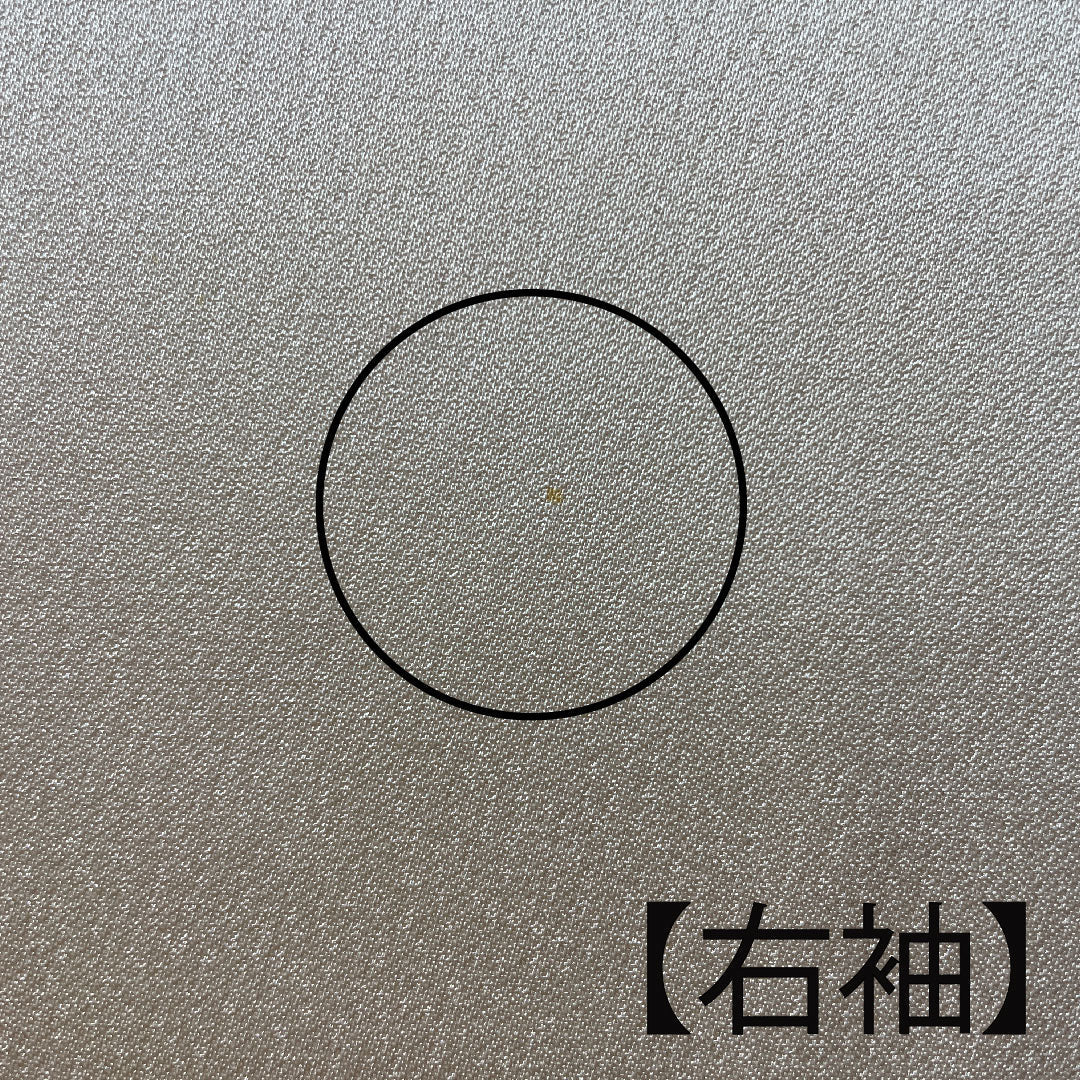 色留袖 身丈161.5cm 裄丈65.5cm 袷 和田光正 金彩友禅 薄肉色 時代風景模様 正絹 Sランク 一つ紋 クリーム系 1111000662415