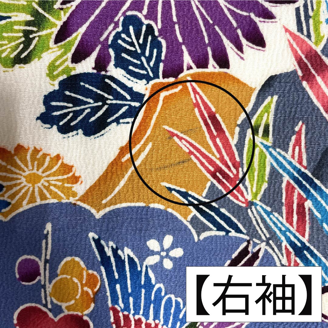 振袖 正絹 Bランク 身丈148.5cm 裄丈62cm 袷 生成り色（きなりいろ） 京紅型 吉祥文様    白系 1113002644111