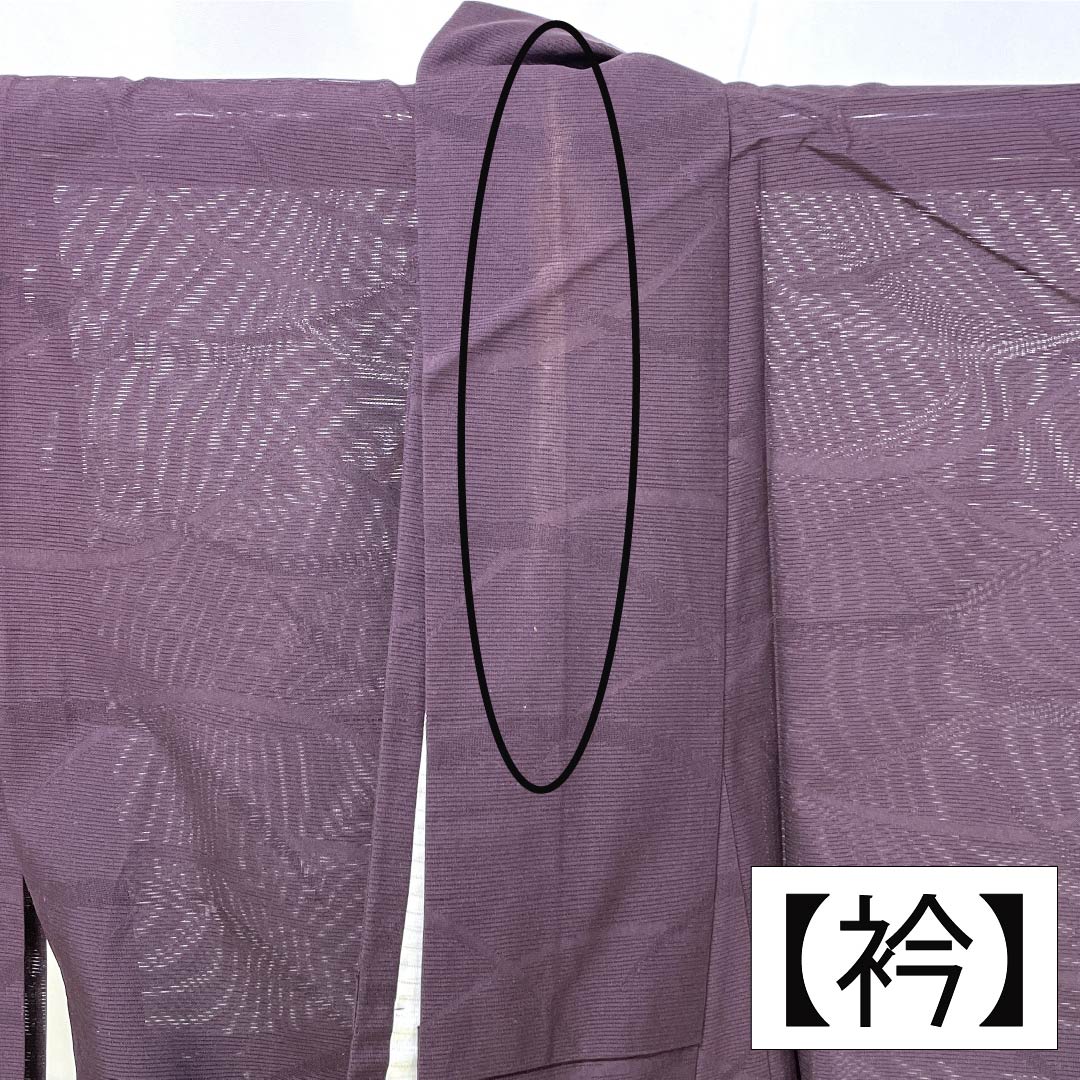夏物 ポリエステル 色無地 Aランク 身丈158.5cm 裄丈65.5cm 紫烏色（しうしょく） 露芝 絽 紫系 1132004793320