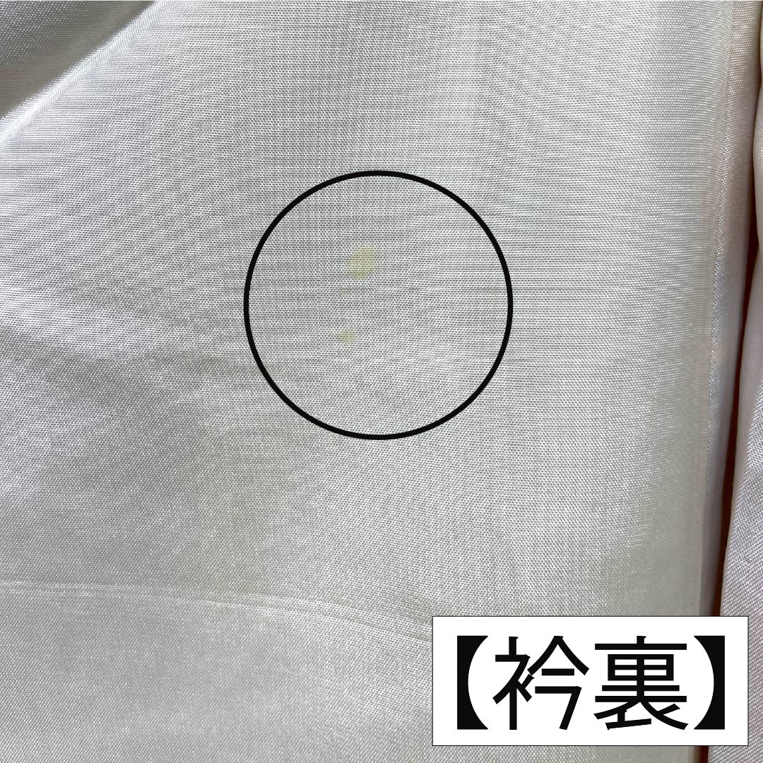 振袖 正絹 Aランク 身丈161cm 裄丈62.5cm 袷 薄柑子色（うすこうじいろ） 京紅型 牡丹 藤 ちりめん地 橙系 1113002403426