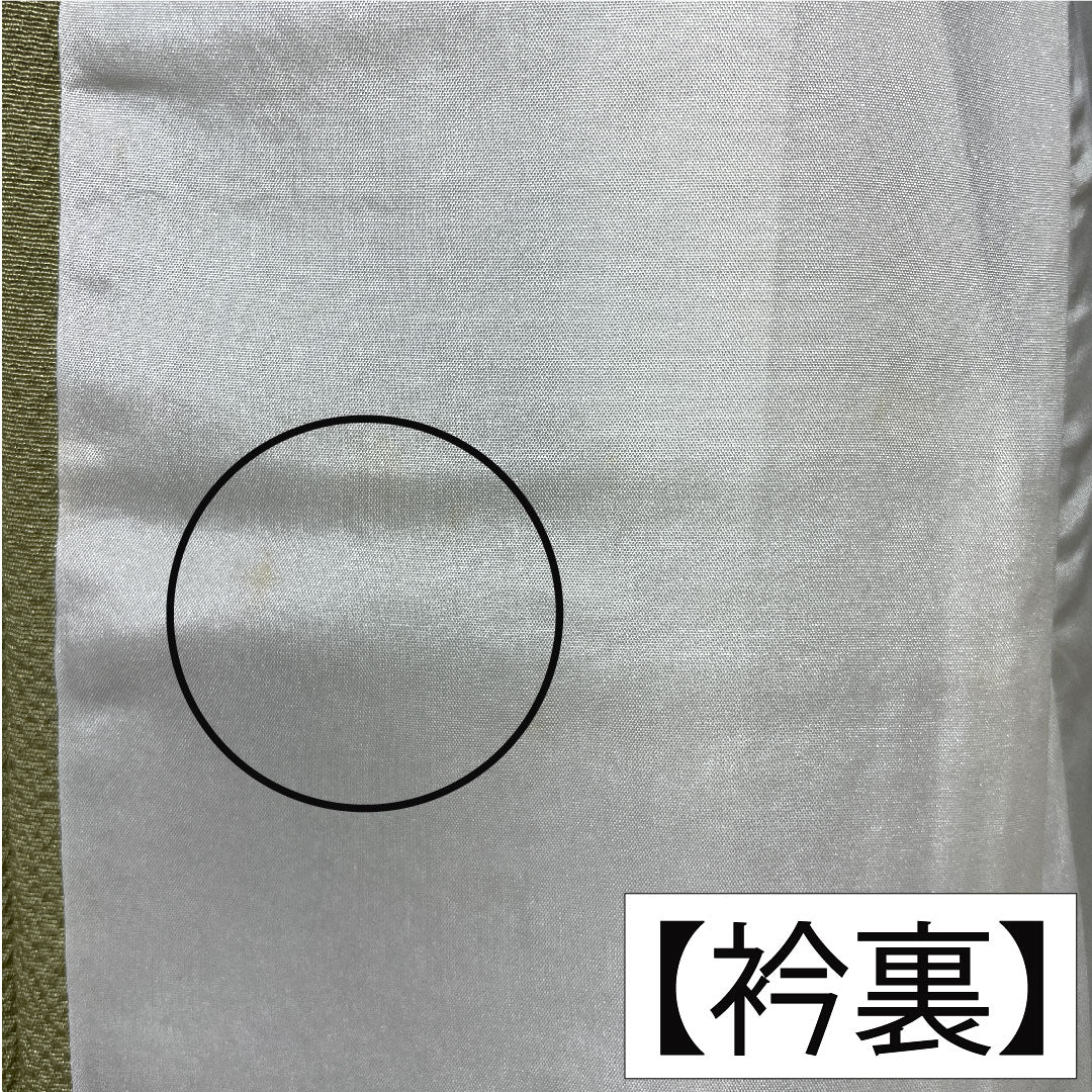 訪問着 正絹 袷 身丈162cm 裄丈62.5cm 薄柳色（うすやなぎいろ） 辻ヶ花 ちりめん地 重ね衿付き しつけ糸付き Sランク 緑系 1112005202419