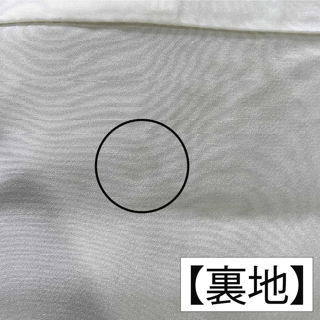 訪問着 正絹 Aランク 袷 身丈160cm 裄丈62.5cm 丁子煤竹色（ちょうじすすたけいろ） 琉球紅型 雪輪 鳳凰 風景 パールトーン加工 ベージュ系 1112007273425