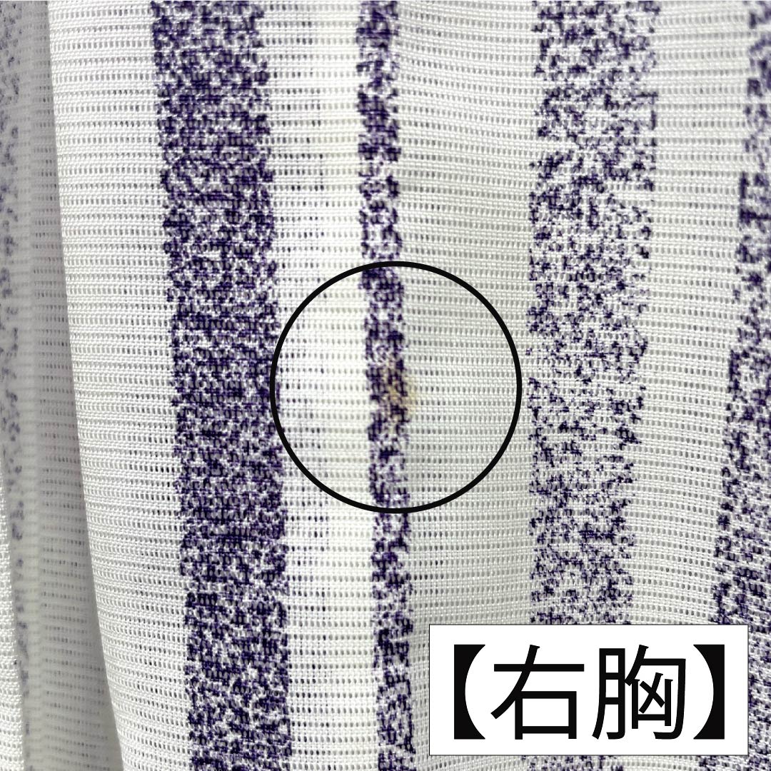 夏物 ポリエステル 小紋 Bランク 身丈165.5cm 裄丈64.5cm 縞 笹 洗える着物 絽 マルチカラー 1132003364528