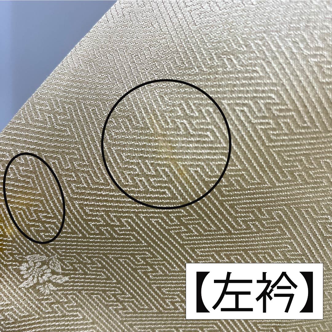 Visiting Kimono (Homongi) - Pure Silk, Grade A, Lined, Length 159cm, Sleeve Length 63.5cm, Walnut Color, Suzhou Embroidery, Tsukesage, Imperial Carriage Design, Beige, Product Number: 1112006663325