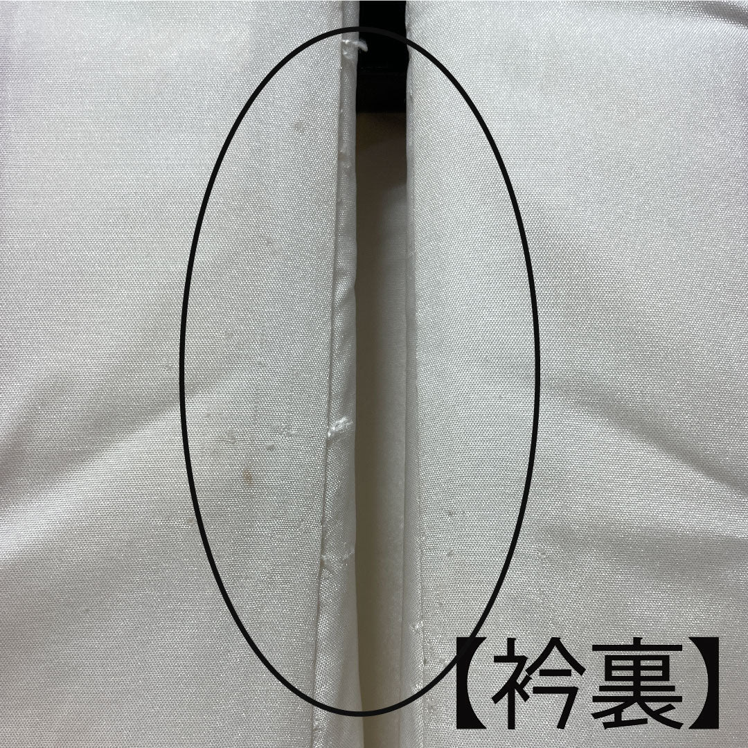 白無垢 身丈191cm  唐織 春爛百花紋 正絹 Bランク 袷 白系 1110000544911