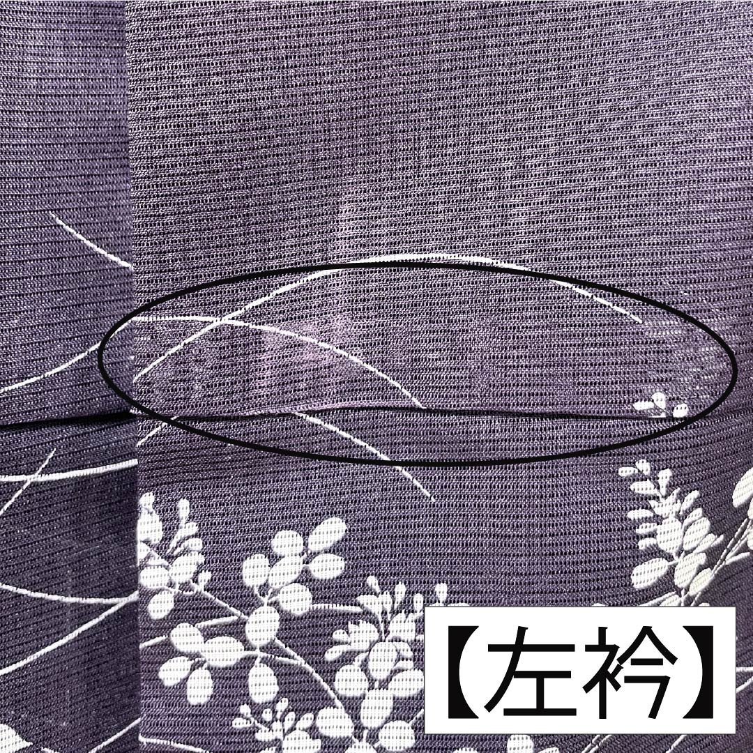 夏物 ポリエステル 小紋 身丈158cm 裄丈63cm 紫烏色（しうしょく） 露芝 草花 洗える着物 絽 Bランク 紫系 1132002044320