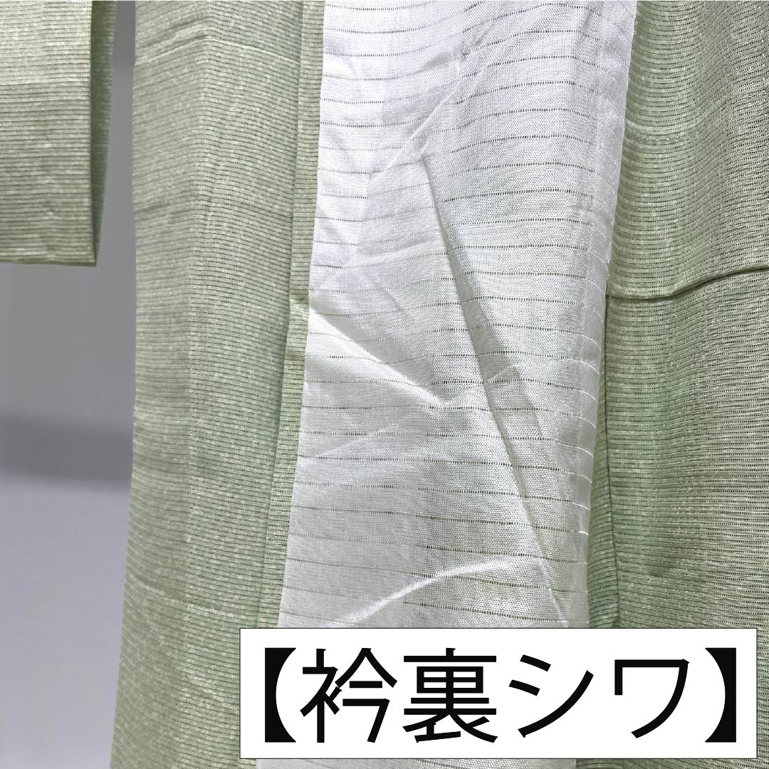 夏物 正絹 付下げ Aランク 身丈163.5cm 裄丈65.5cm 龍泉青瓷釉色（ロンチュエンチンツーユースーいろ） 京友禅 タタキ染 草花 絽 緑系 1132005073419