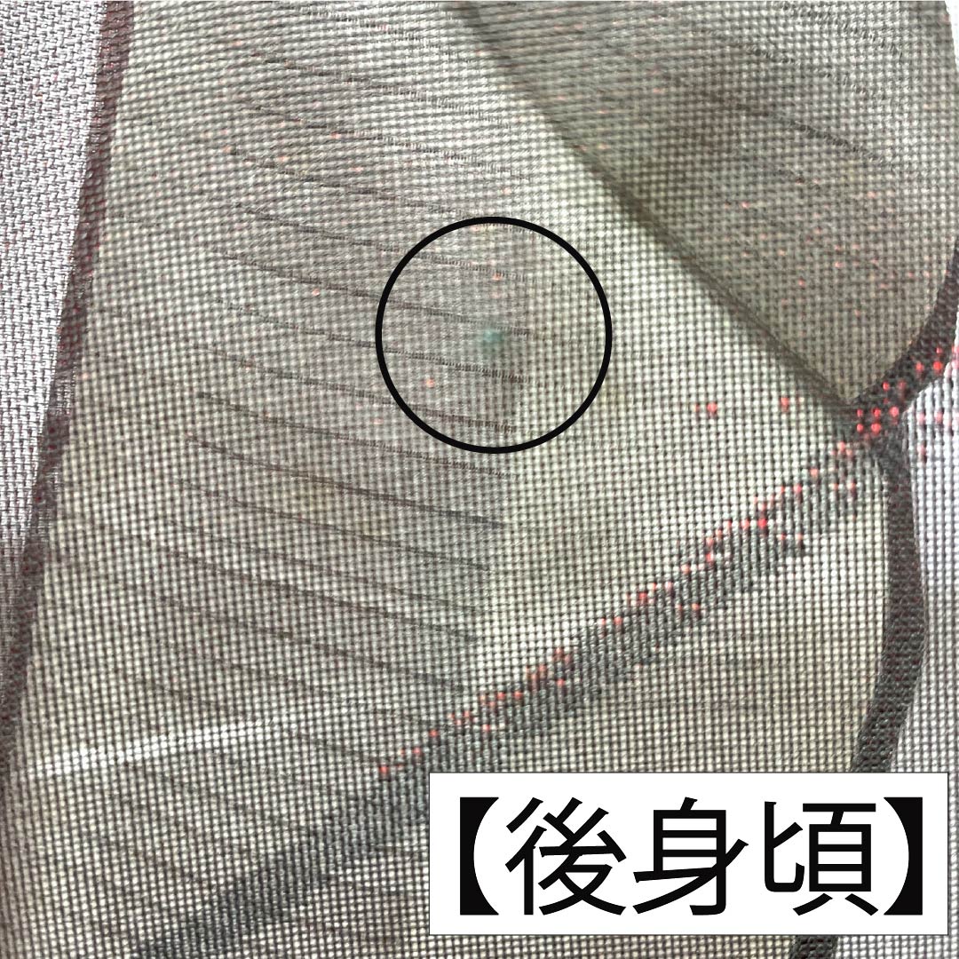 夏物 正絹 お召 Bランク 身丈155.5cm 裄丈62.5cm 暗紅色（あんこうしょく） 露芝 草花模様 紗 赤系 1132004264312