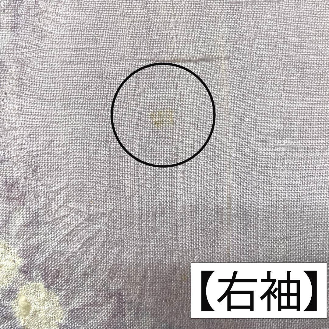 訪問着 正絹 Bランク 単衣 身丈165.5cm 裄丈64.5cm 白藤色（しらふじいろ） 紬地 絞り 作家物 辻ヶ花 紫系 1112007554520