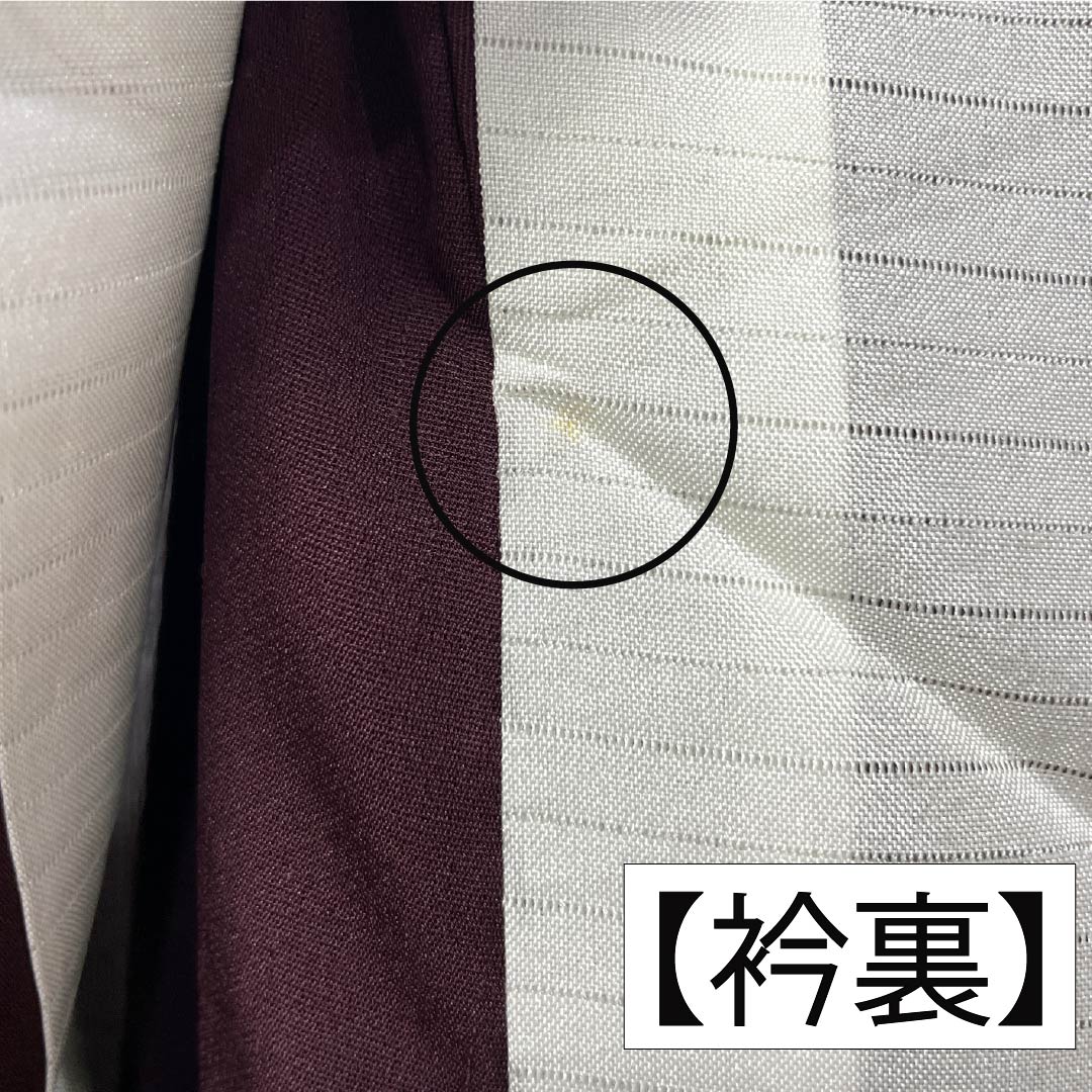 夏物 正絹 色無地 身丈166.5cm 裄丈67cm 桑の実色（くわのみいろ） 紋紗 松葉 紗 Sランク 紫系 1132002742520