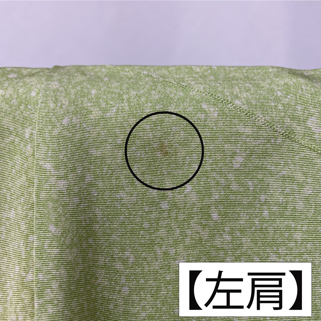 Homongi, pure silk, lined, length 158.5cm, sleeve length 62.5cm, yellowish green, floral pattern, wet-dyed yuzen, A rank, green, 1112005763319