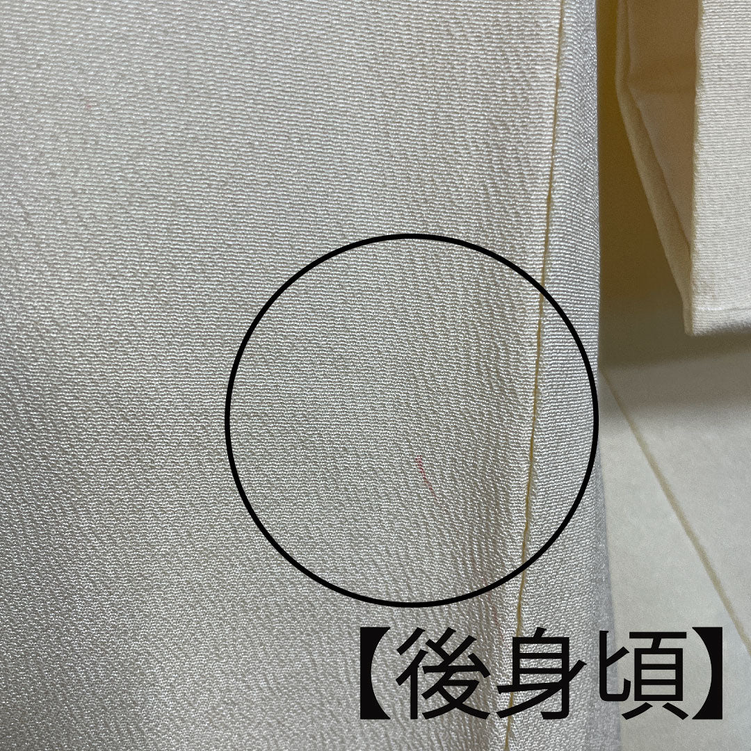 Homongi, lined, length 159cm, sleeve length 62.5cm, Torinoko color, Kyoto Bingata, floral pattern, pure silk, A rank, cream color, 1112001943315