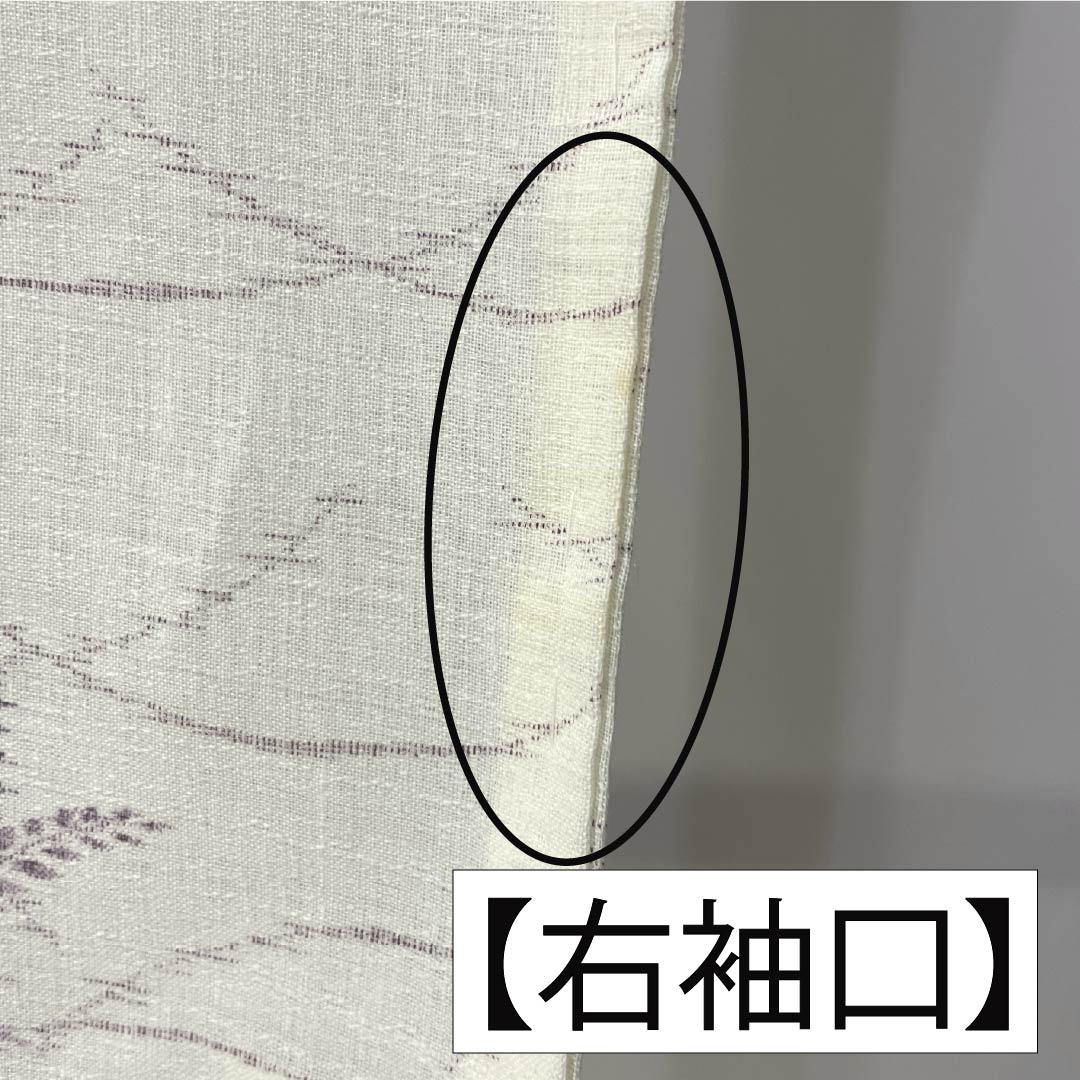 夏物 麻 紬 身丈165cm 裄丈69cm 乳白色（にゅうはくしょく） 小千谷縮 草花模様 紗 Aランク 白系 1132002683511