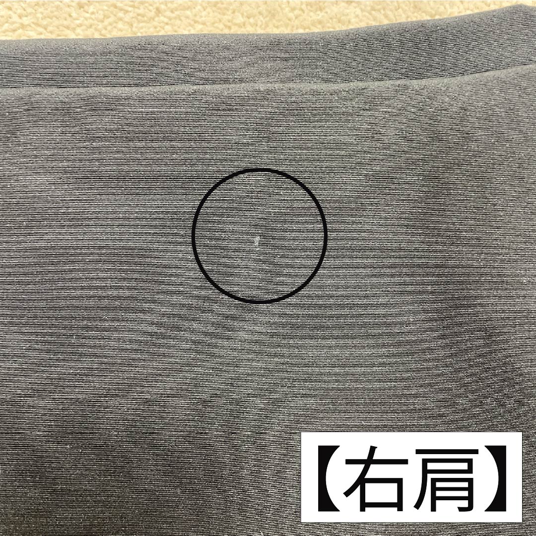 Black Tomesode (Tomesode) - Pure Silk, Grade A, Length 159cm, Sleeve Length 64.5cm, Lined, Kyoto Kaga Yuzen, Five Crests, Embracing Myoga Flower, Artist's Work, Landscape Pattern of Pine and Plum Blossoms, Five Crests, Black, Item Number 1111001963310