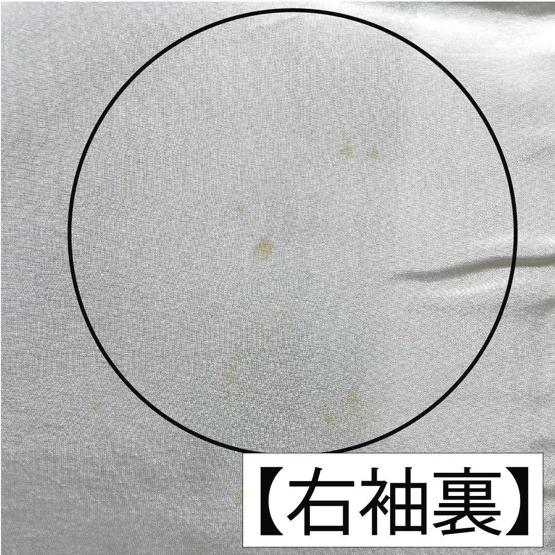 訪問着 正絹 袷 身丈151cm 裄丈61cm 硫黄色）いおういろ） 京友禅 草花模様 一つ紋 三ツ割藤 Aランク 緑系 1112005593219