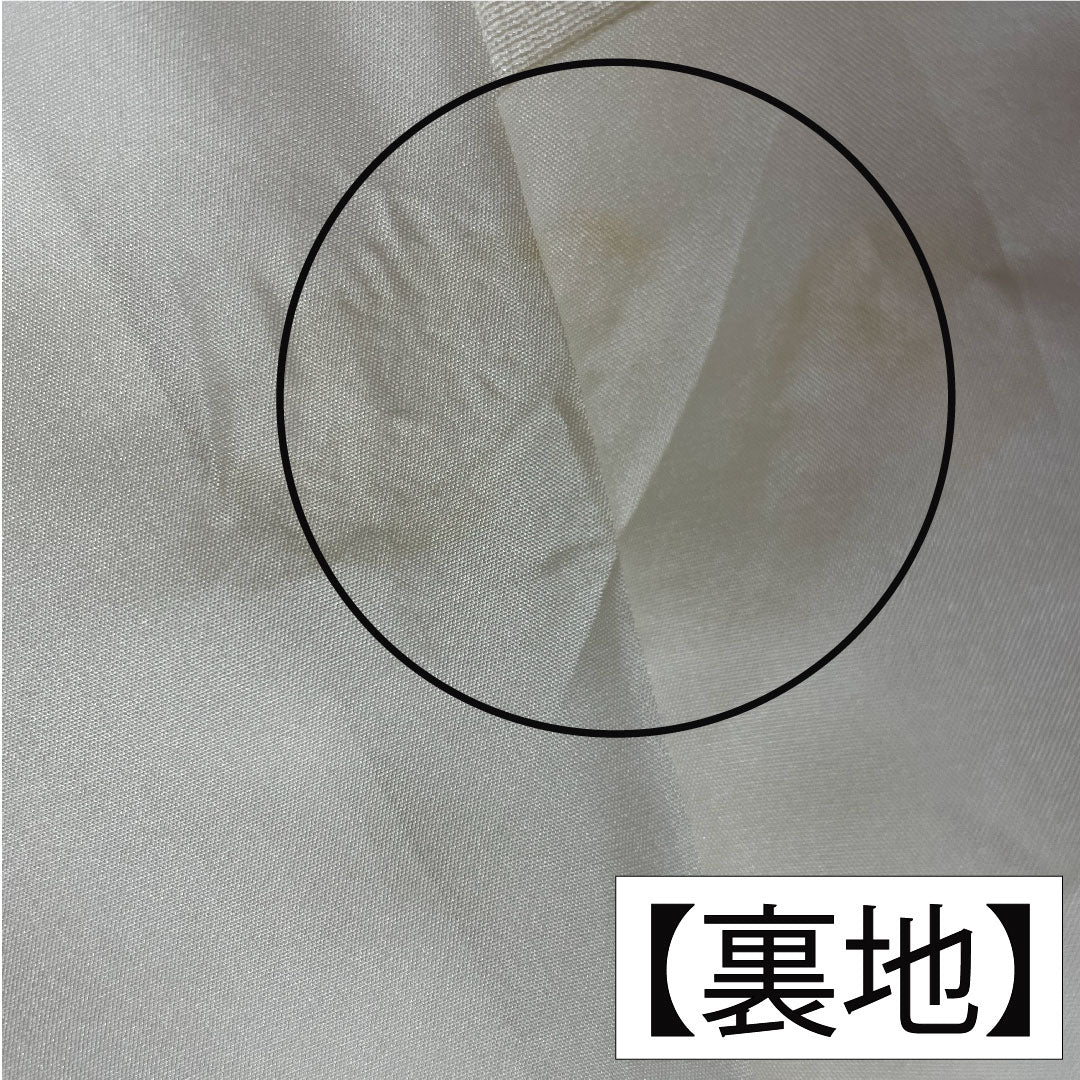 Furisode, pure silk, length 167.5cm, sleeve length 69cm, lined, Kyoto Bingata, auspicious motif, Hajik processing, A rank, white, 1113002103511