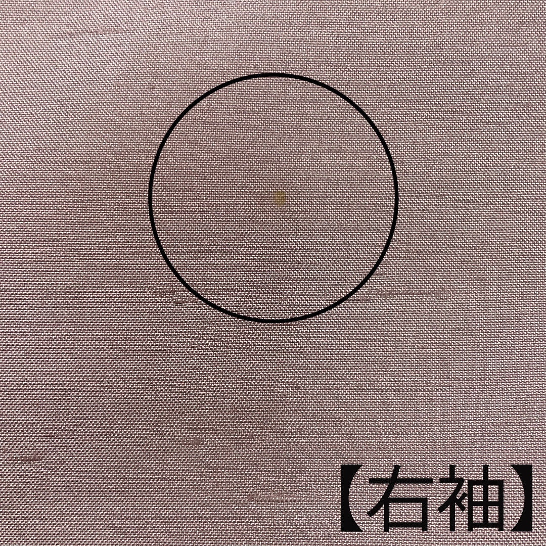 Homongi, lined, length 153cm, sleeve length 63cm, grape color, Ushiku Tsumugi, Hakusan Kobo, Oboro-zome, pure silk, A rank, purple, 1112001813220