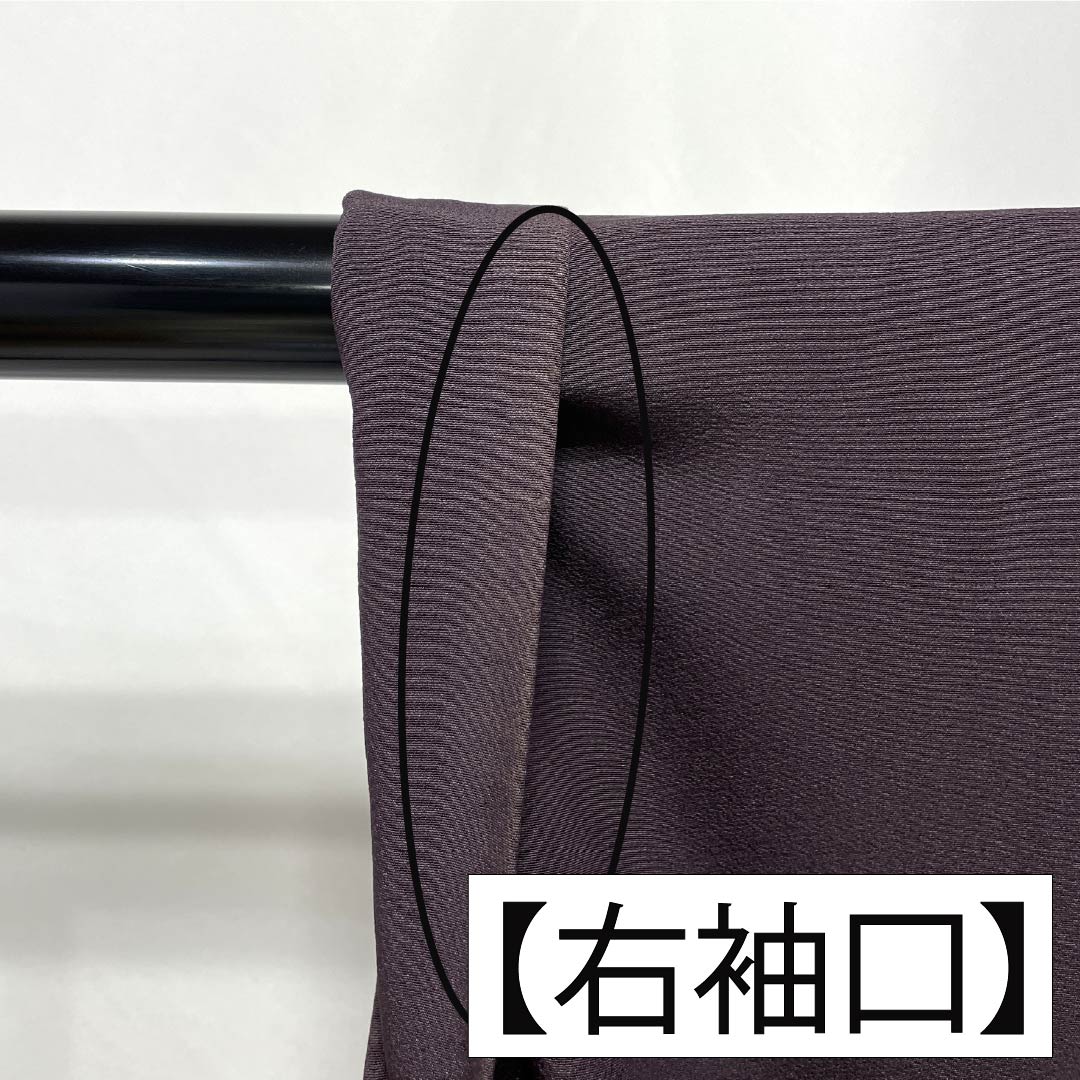 色留袖 正絹 身丈159.5cm 裄丈66cm 袷 紫烏色（しうしょく） 蘇州刺繡 吉祥文様 パールトーン加工 Aランク 紫系 1111001303320