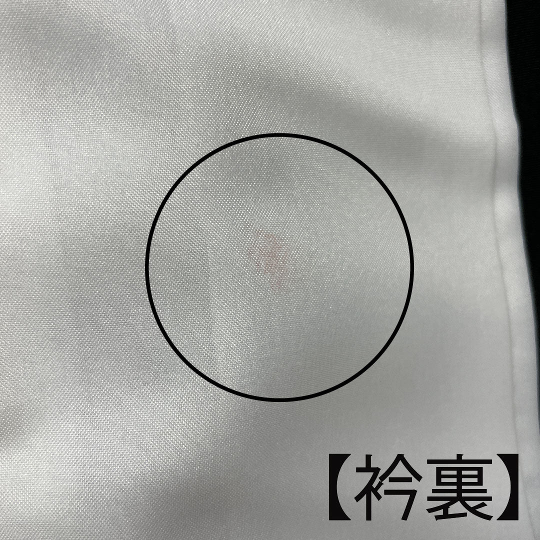 Black formal kimono, length 163.5cm, sleeve length 62.5cm, lined, Kyoto Yuzen, auspicious motif, circle with iris, pure silk, A rank, five crests, black, 1111000633410