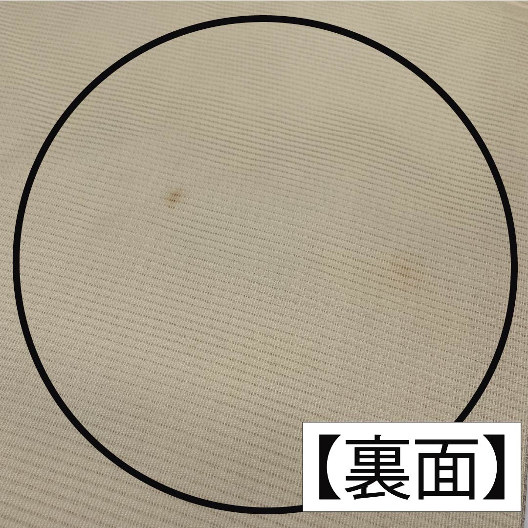Nagoya Obi, Pure Silk, Off-White, Summer Obi, Camellia Pattern, 362cm Long, Rank B, Pointed Pattern, Semi-Formal, Cream, Item No. 1124008774315, Nagoya Style