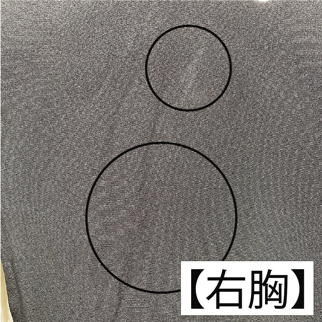 黒留袖 正絹 身丈162cm 裄丈64cm 袷 引箔刺繍 鶴 五つ紋 丸に三つ柏 Bランク 黒系 1111001444410
