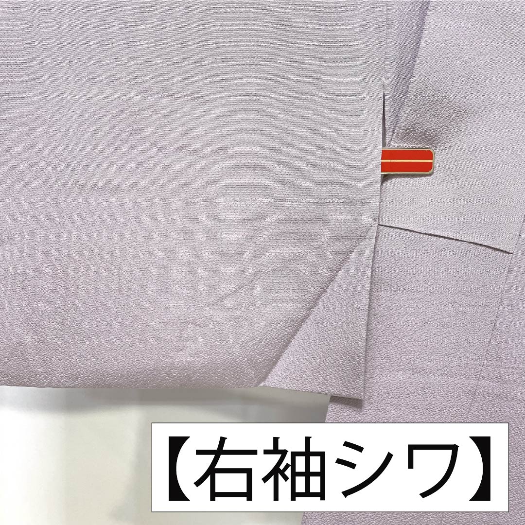 Visiting Kimono, Pure Silk, S Rank, Lined, Length 165cm, Sleeve Length 64.5cm, Shrimp-colored, Kyoto Yuzen, Tsujigahana Pattern, Purple, Item Number: 1112007222520