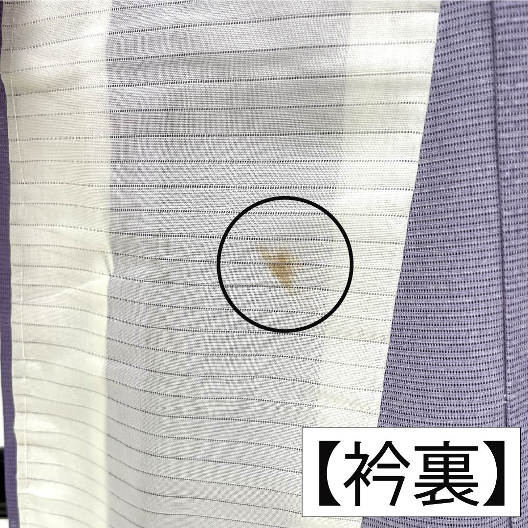 夏物 ポリエステル 訪問着 Bランク 身丈155.5cm 裄丈63cm 紫苑色（しおんいろ） 付下げ 鯉 流水 絽 紫系 1132004474320