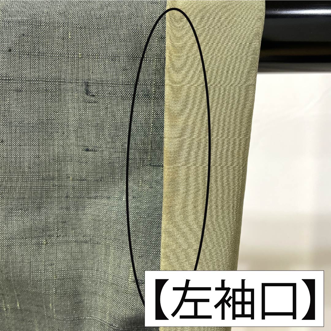 訪問着 正絹 Aランク 袷 身丈156cm 裄丈66cm 岩井茶色（いわいちゃいろ） 付下げ すくい織 紬地 作家物 野菜 緑系 1112007803319
