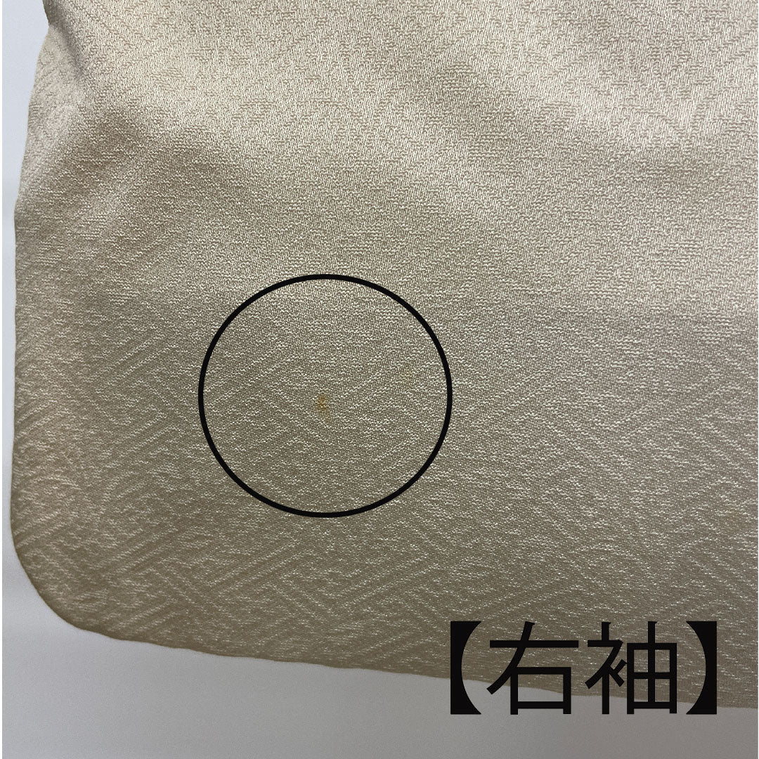Colored Tomesode, Length 157cm, Sleeve Length 64cm, Lined, Tokyo Yuzen, Pure Silk, B Rank, Three Crests, Cream Color, 1111000284315