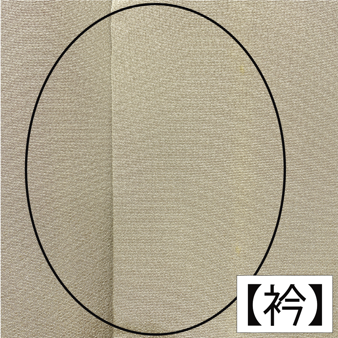 色留袖 正絹 身丈157cm 裄丈63cm 袷 白茶色（しらちゃいろ） 京友禅 作家物 銀閣寺 五つ紋 木瓜 Aランク ベージュ系 1111001553325